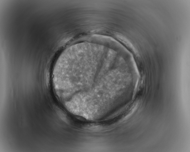 X0000086940589200705141804