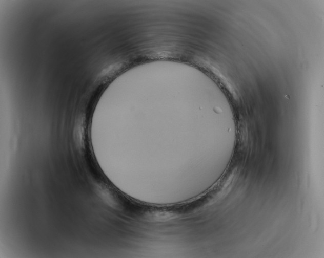 X0000086940590200705141804