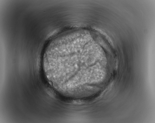 X0000086940591200705141804