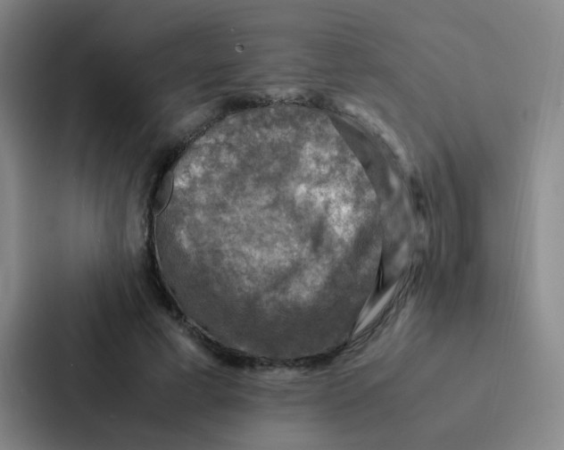 X0000086940593200705141804