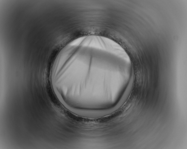 X0000086940594200705141804