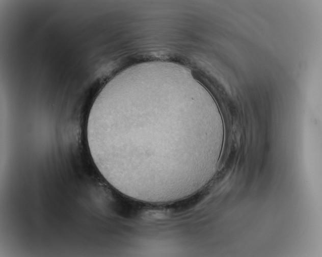X0000086940595200705141804