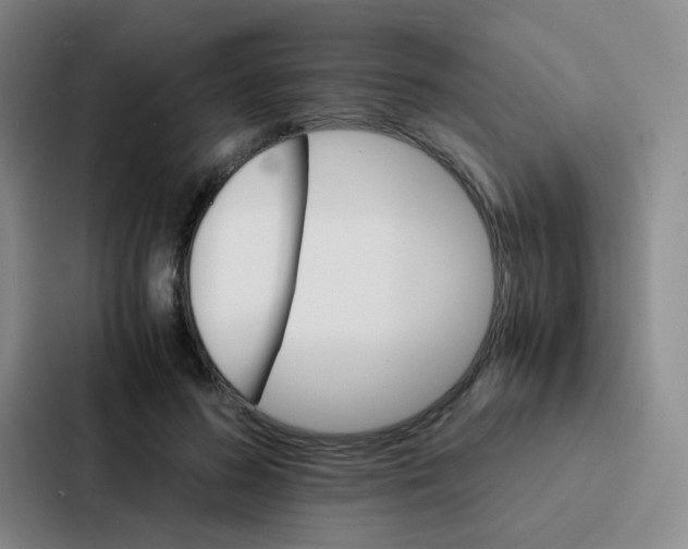 X0000086940596200705141804