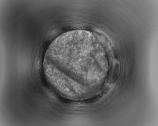 X0000086940597200705141804