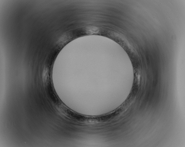 X0000086940598200705141804