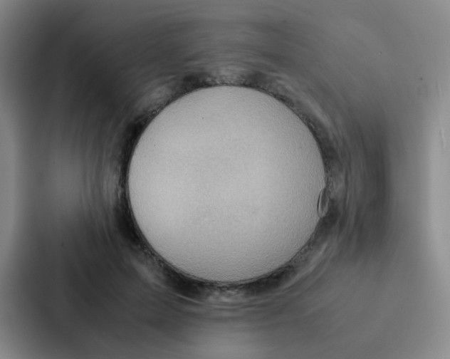 X0000086940599200705141804