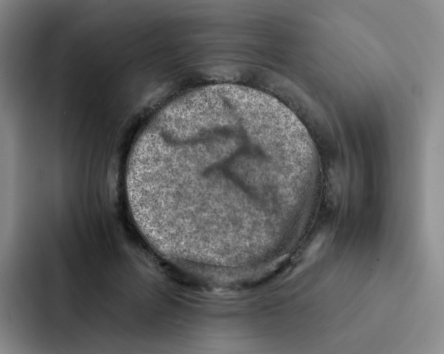 X0000086940600200705141804