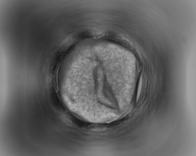 X0000086940601200705141804