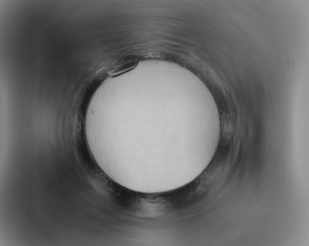 X0000086940603200705141803