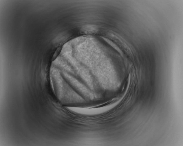 X0000086940604200705141803