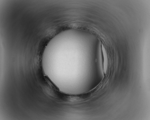 X0000086940605200705141803