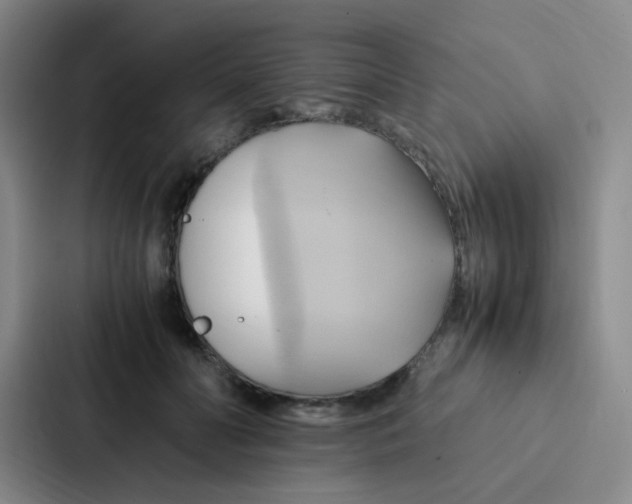 X0000086940606200705141803