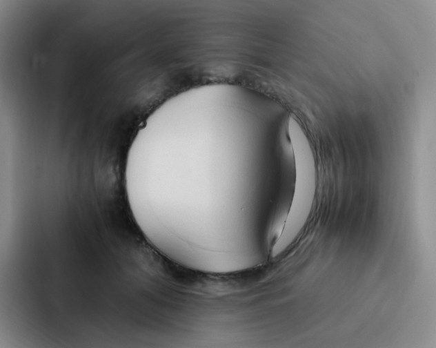 X0000086940608200705141803