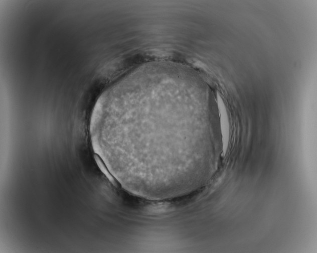 X0000086940609200705141803