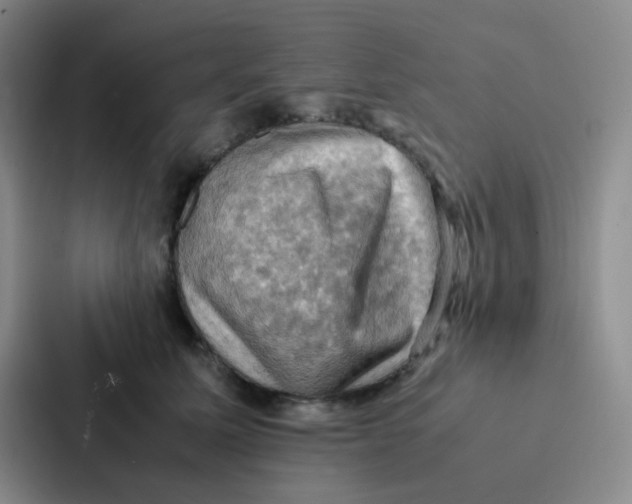 X0000086940611200705141803