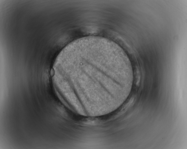 X0000086940612200705141803
