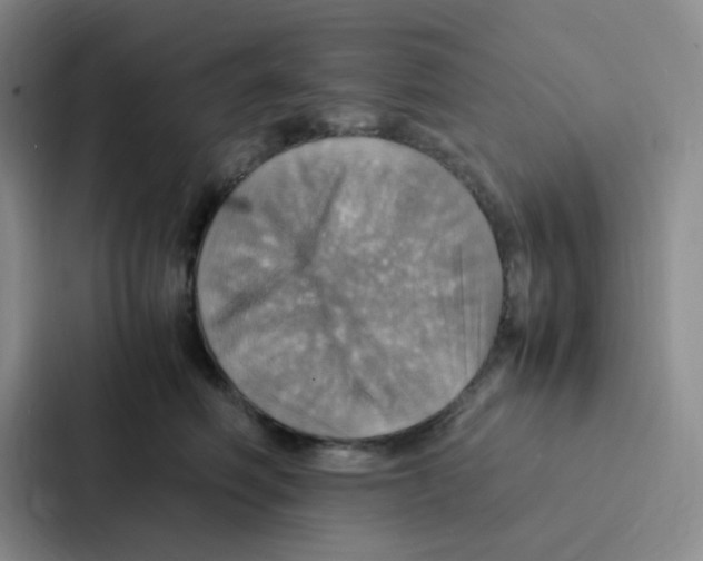 X0000086940614200705141803