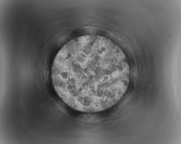 X0000086940615200705141803