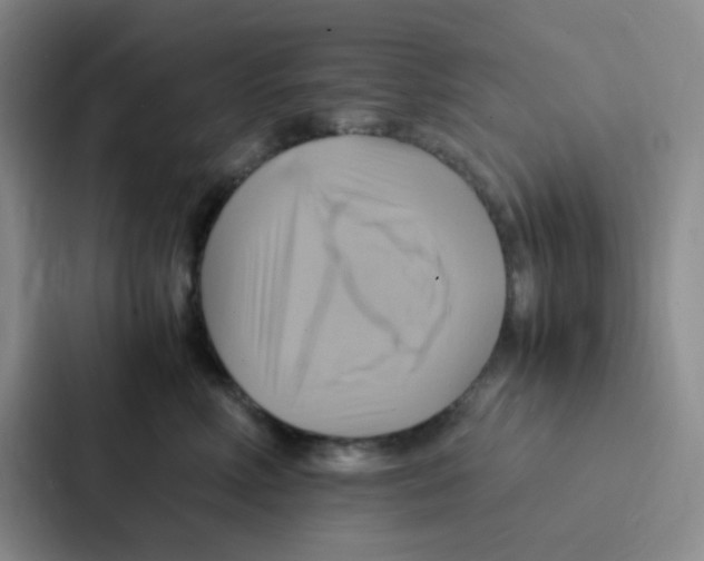 X0000086940618200705141803