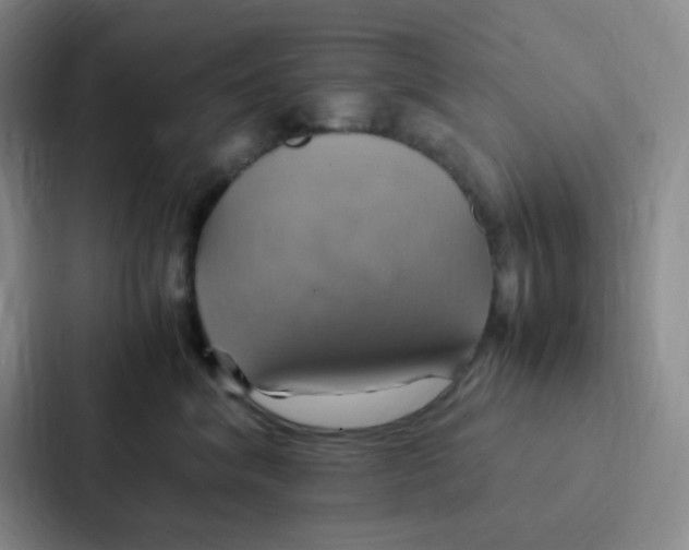 X0000086940620200705141803