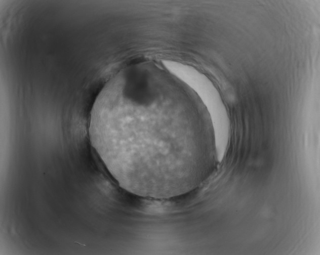 X0000086940621200705141803