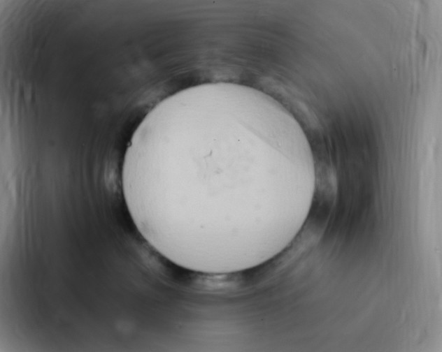 X0000086940622200705141803
