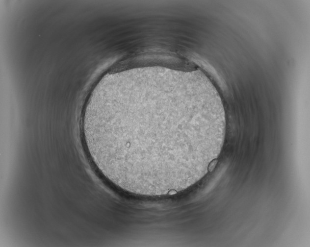 X0000086940625200705141803