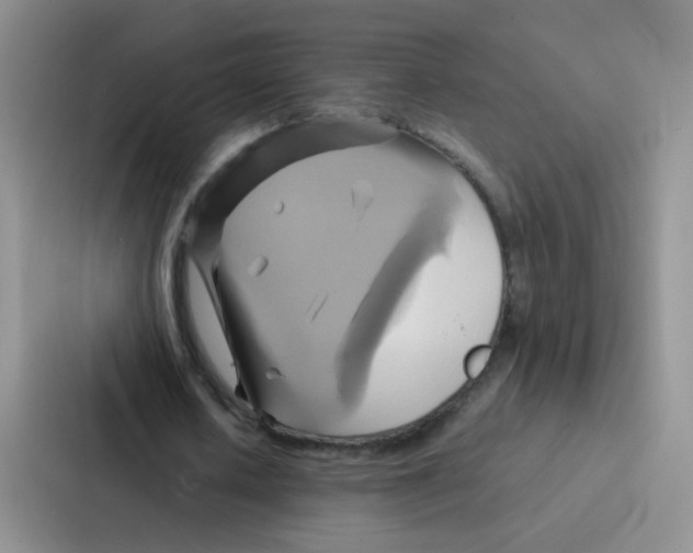 X0000086940626200705141803