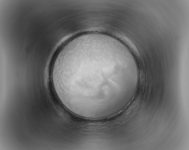 X0000086940628200705141803