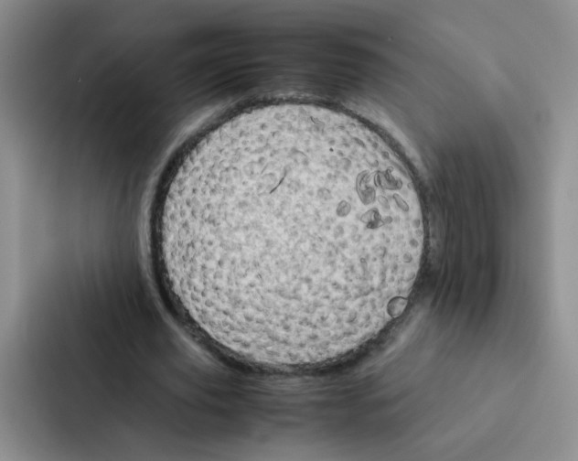 X0000086940629200705141803