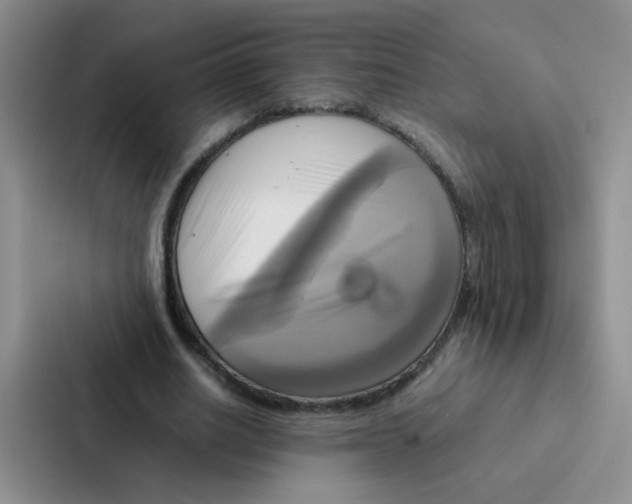 X0000086940630200705141803