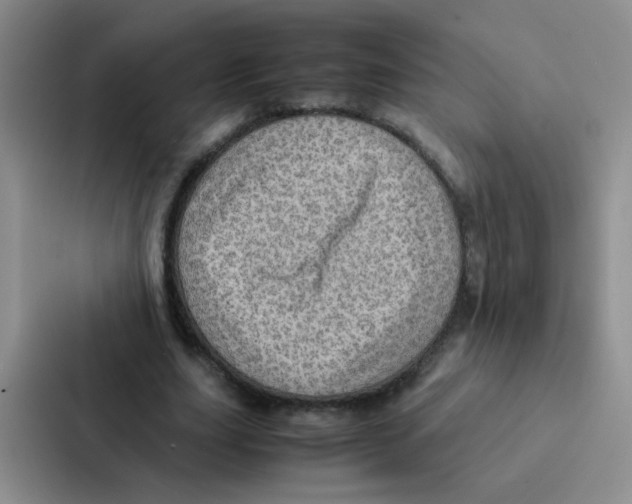 X0000086940631200705141803