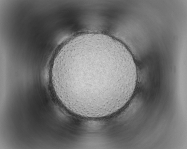 X0000086940632200705141803