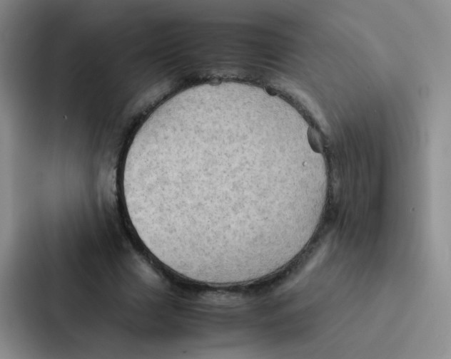 X0000086940633200705141803