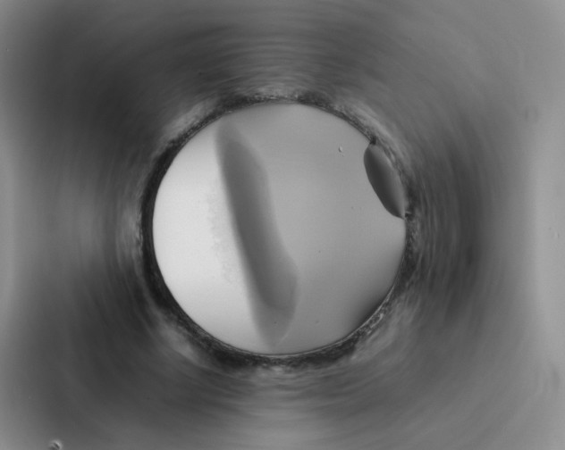 X0000086940634200705141803