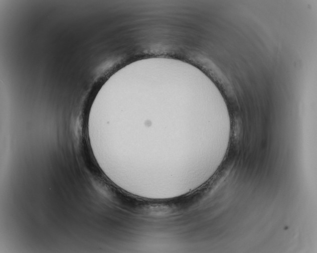 X0000086940636200705141803