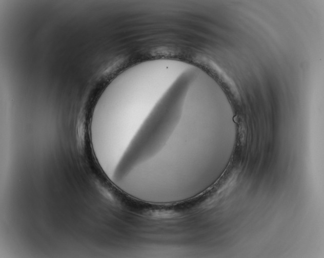 X0000086940637200705141803