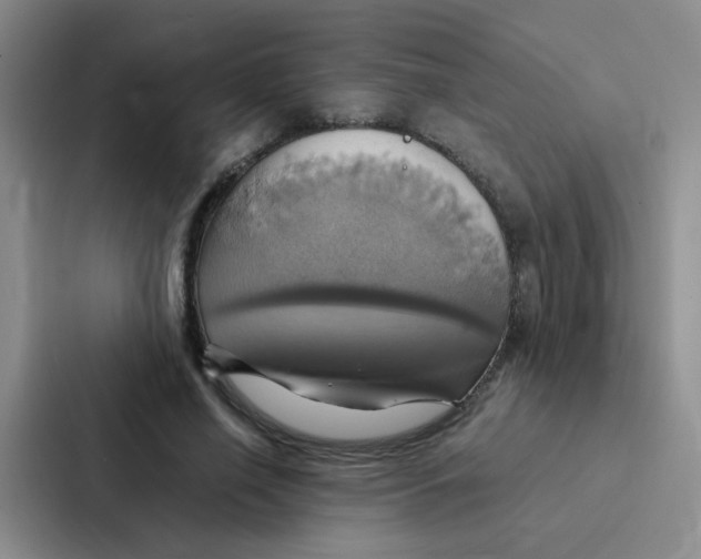 X0000086940638200705141803