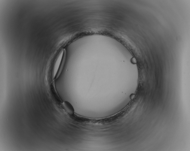 X0000086940640200705141803