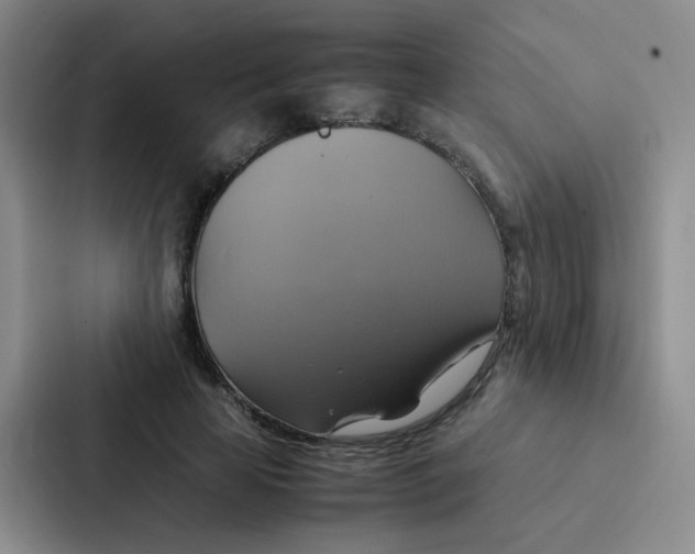 X0000086940641200705141803