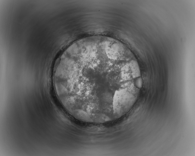 X0000086940642200705141803