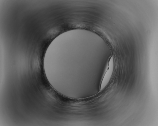 X0000086940643200705141803