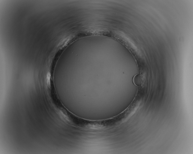 X0000086940644200705141803