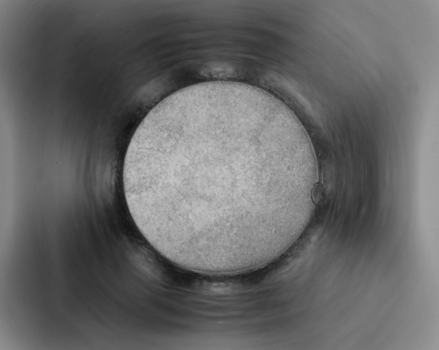 X0000086940645200705141803