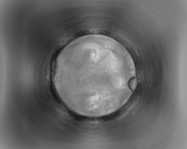 X0000086940646200705141803