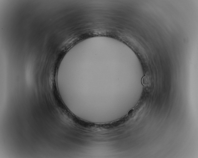 X0000086940648200705141803