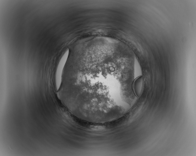 X0000086940649200705141803