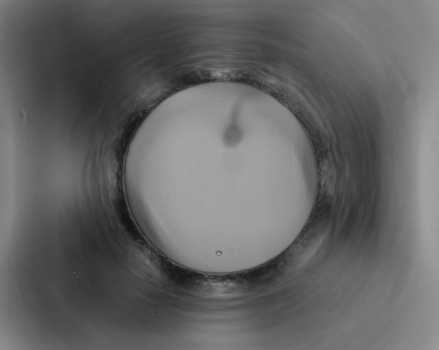 X0000086940650200705141803