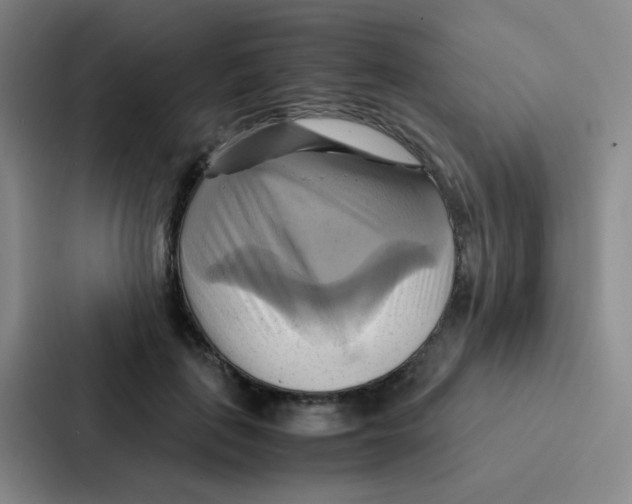 X0000086940651200705141803