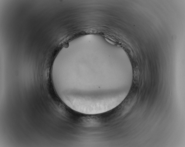 X0000086940652200705141803